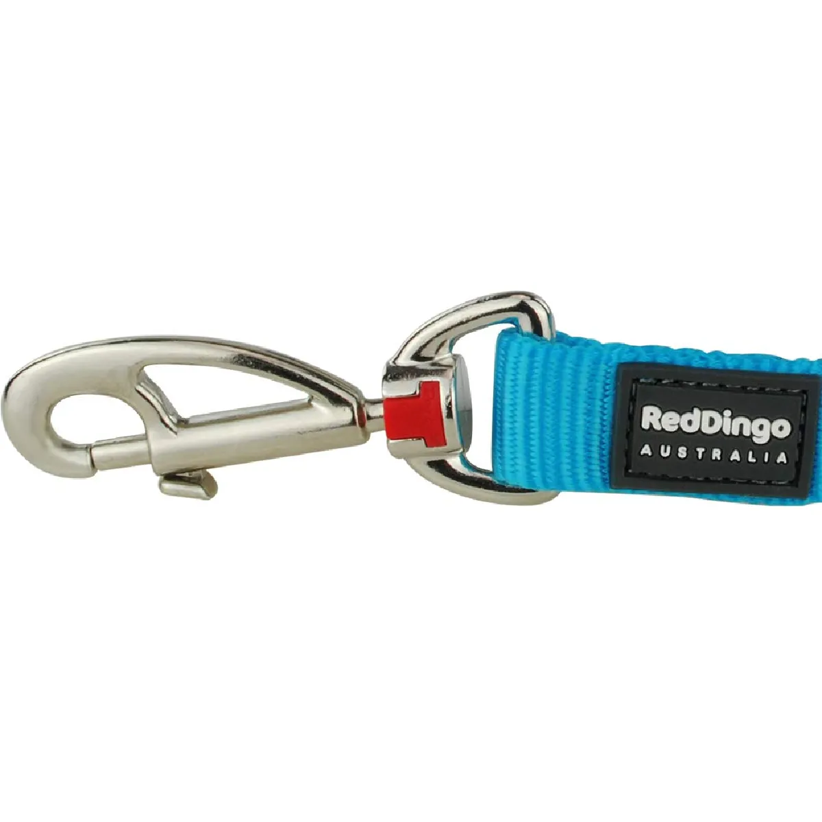 RED DINGO  - Laisse confort Basic Turquoise Taille : T3 - Turquoise