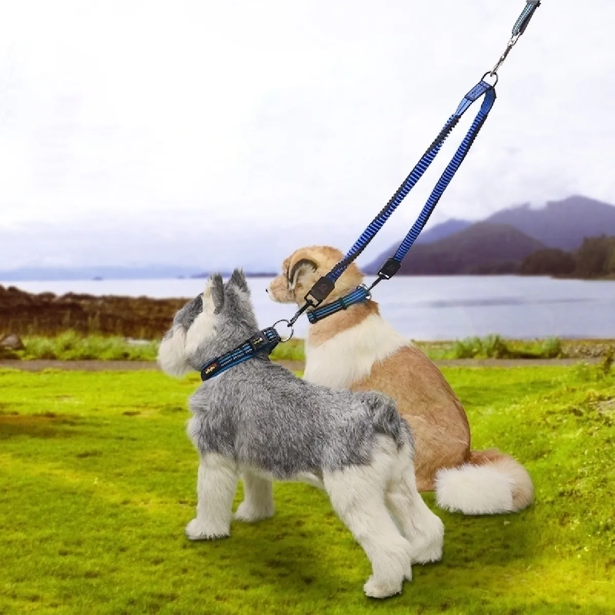 Comparer les prix de Corde tressée réfléchissante de nylon de de traction de double d'amortisseur d'animal familier, petit, longueur: 70cm, distribution aléatoire de couleur