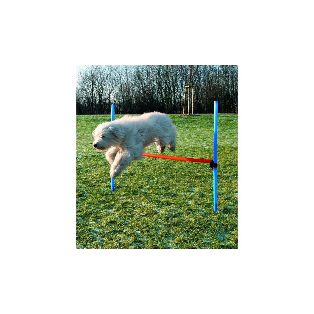 TRIXIE Obstacle de saut - Plastique - 123x115 cm