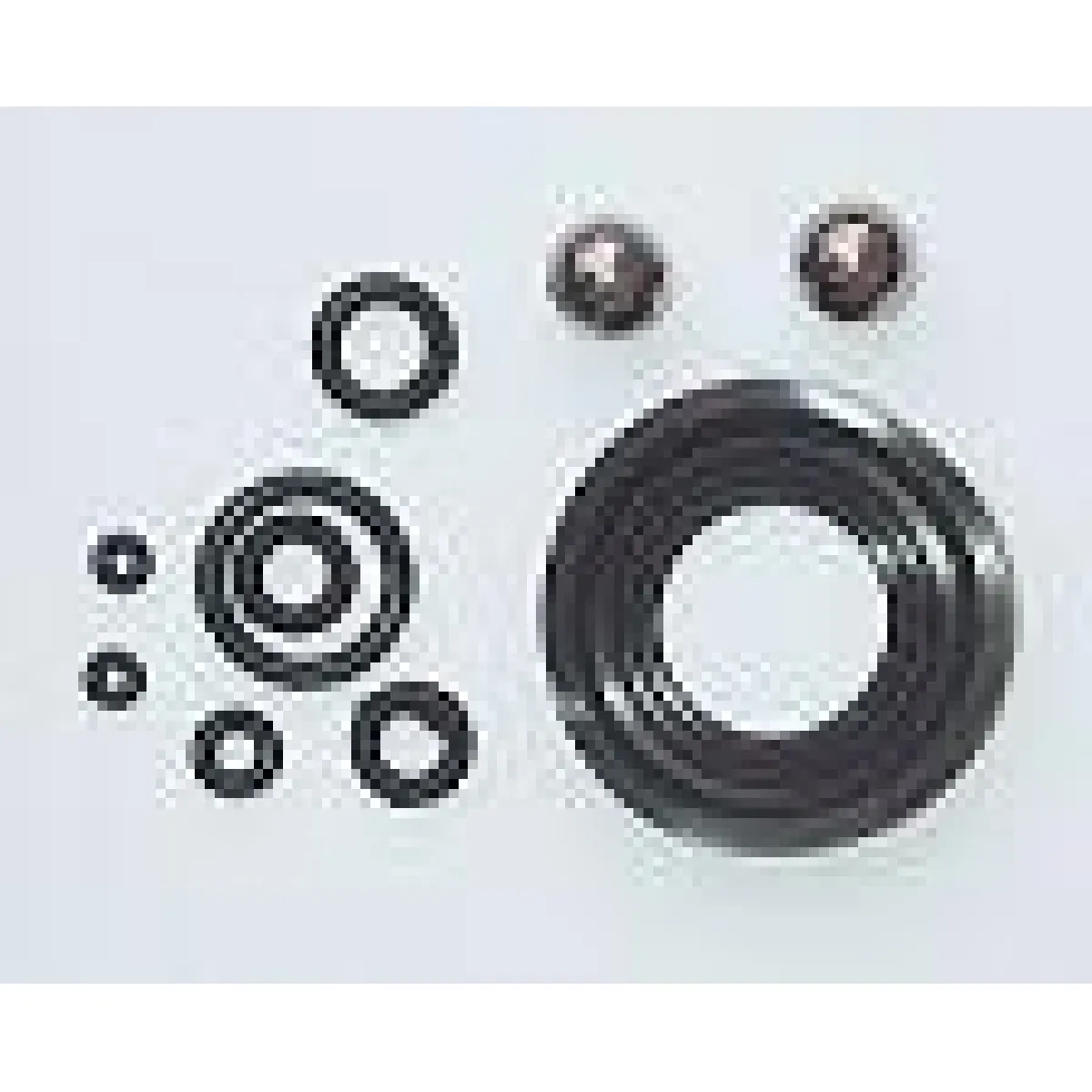 Kit joints pour pulvé à dos 1213161820 - vue 2