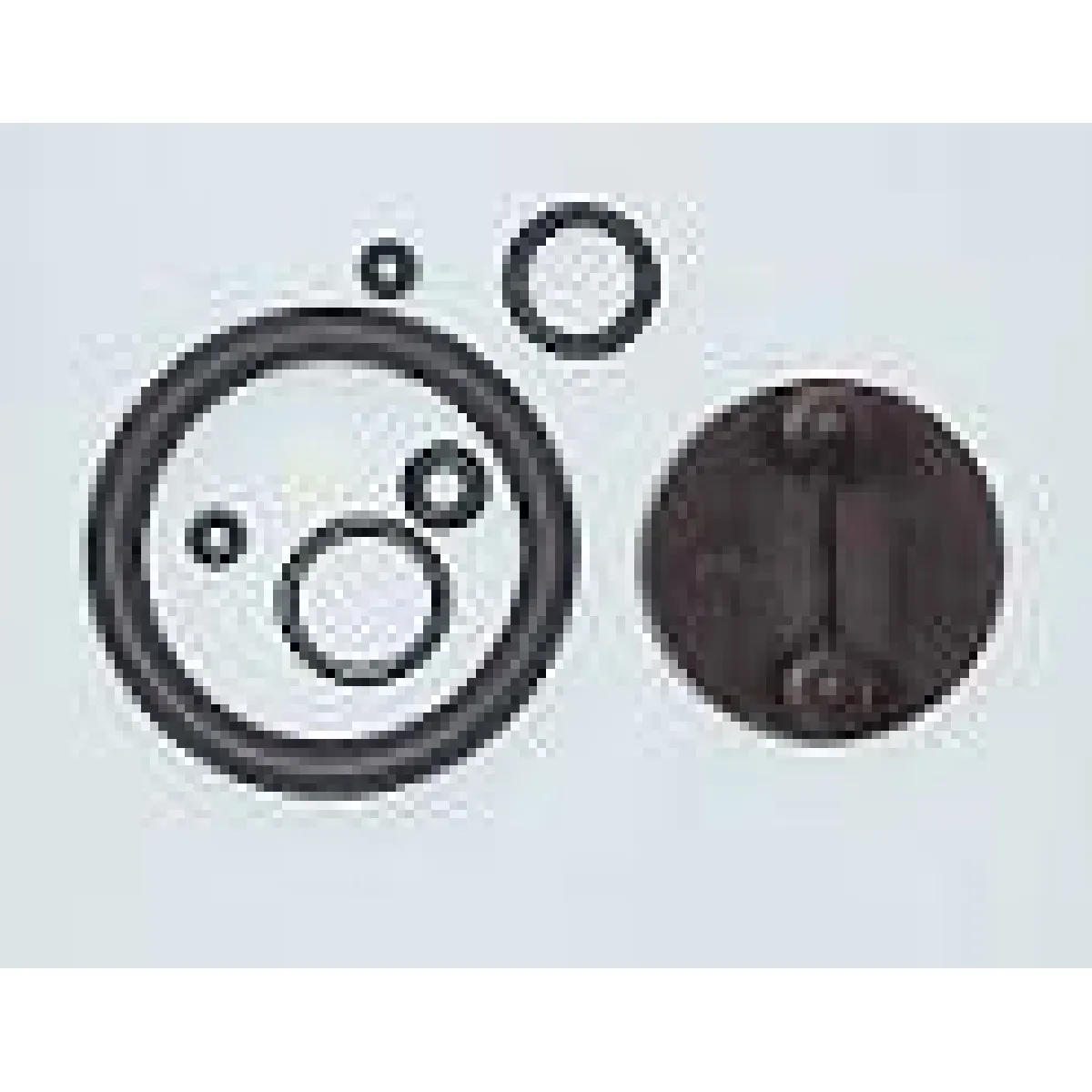 Kit joints pour pulvé à pression 7 produits agressifs - vue 2