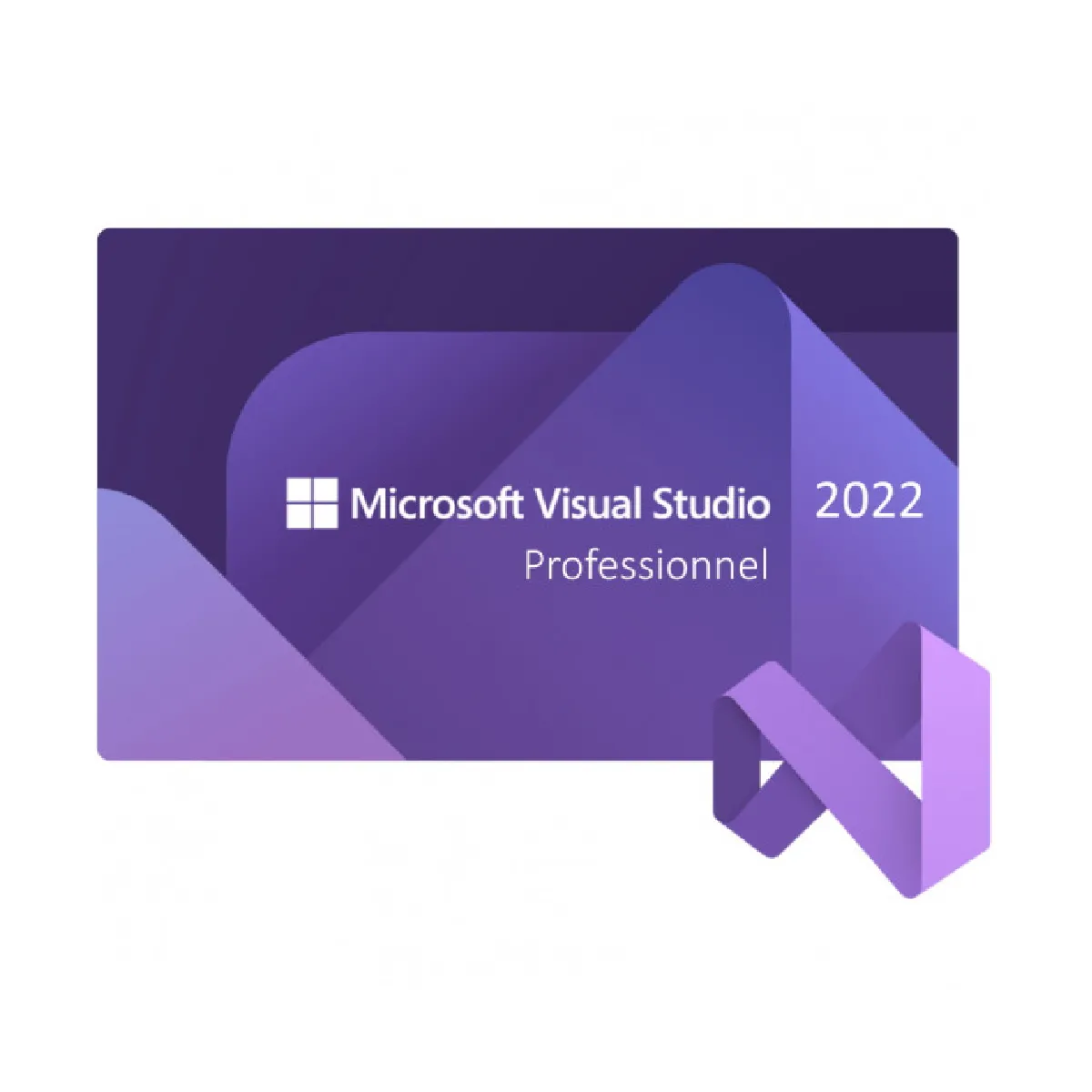 Microsoft Visual Studio 2022 Professionnel Clé licence à télécharger Livraison rapide 77j - vue 2