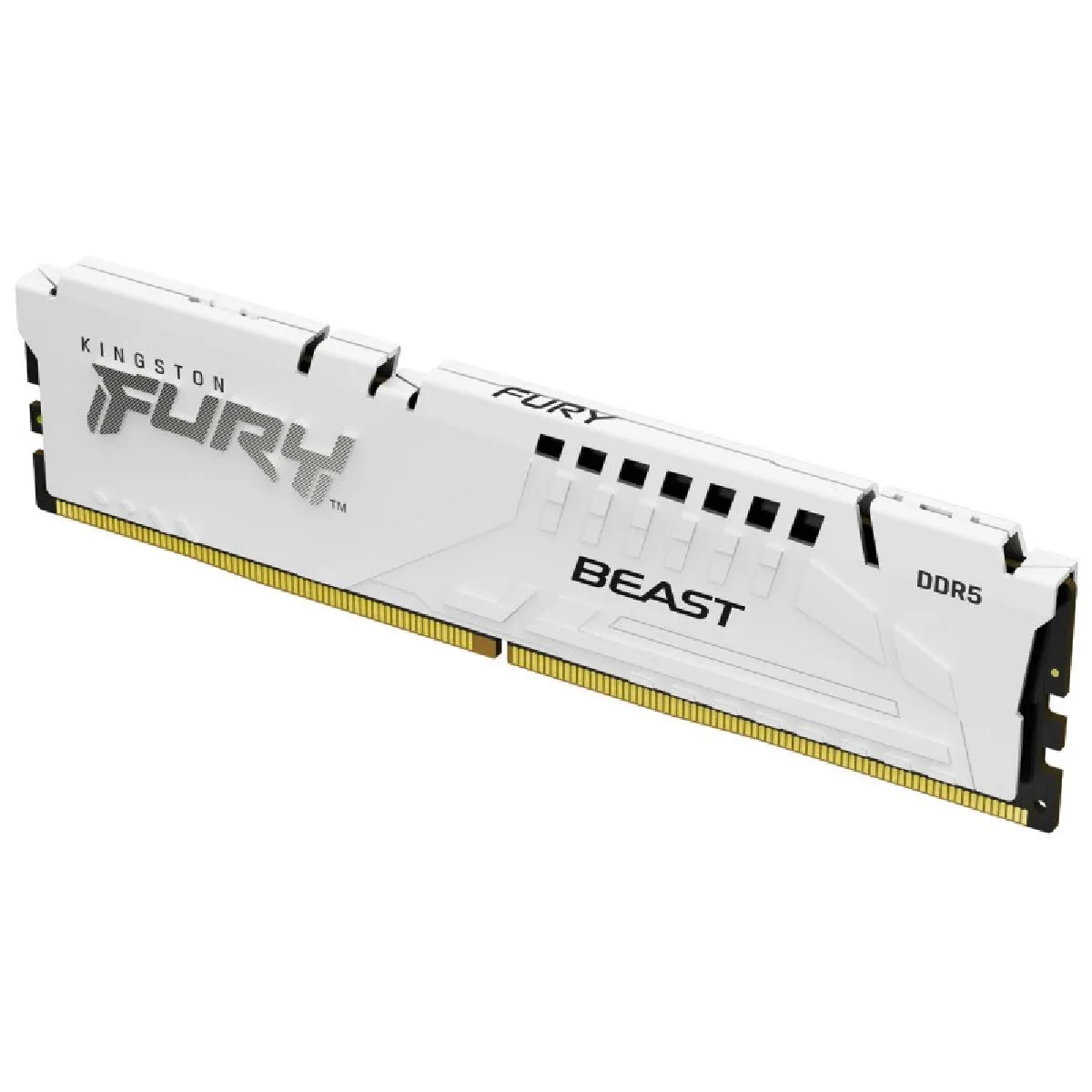 Kingston FURY Beast - 16 Go DDR5