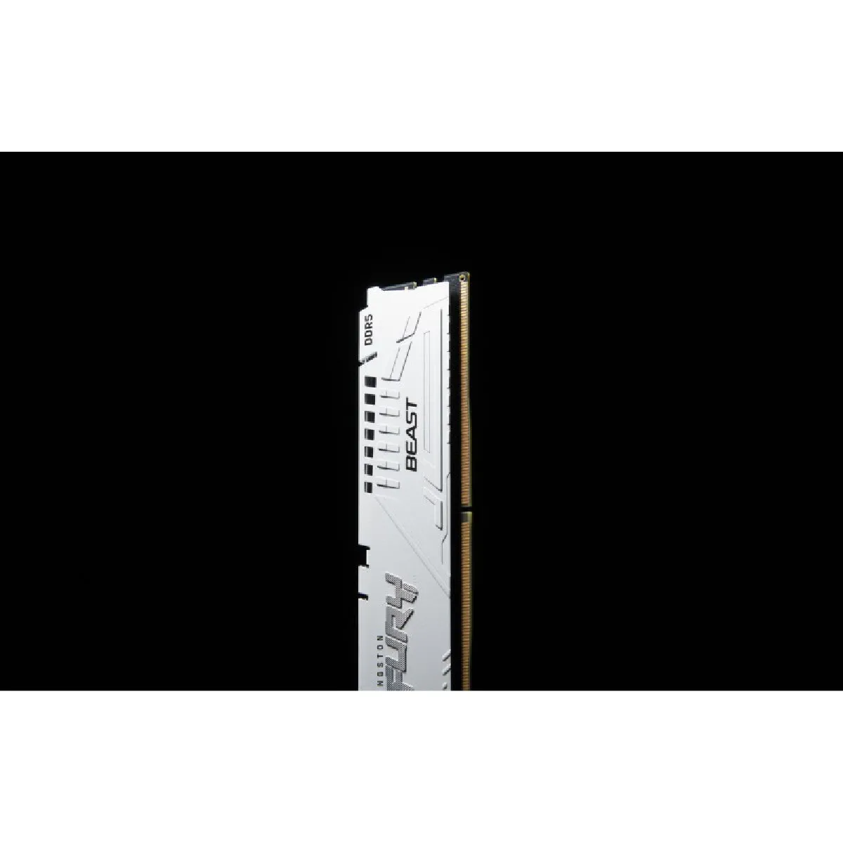 Kingston KF556C36BWEK2-64