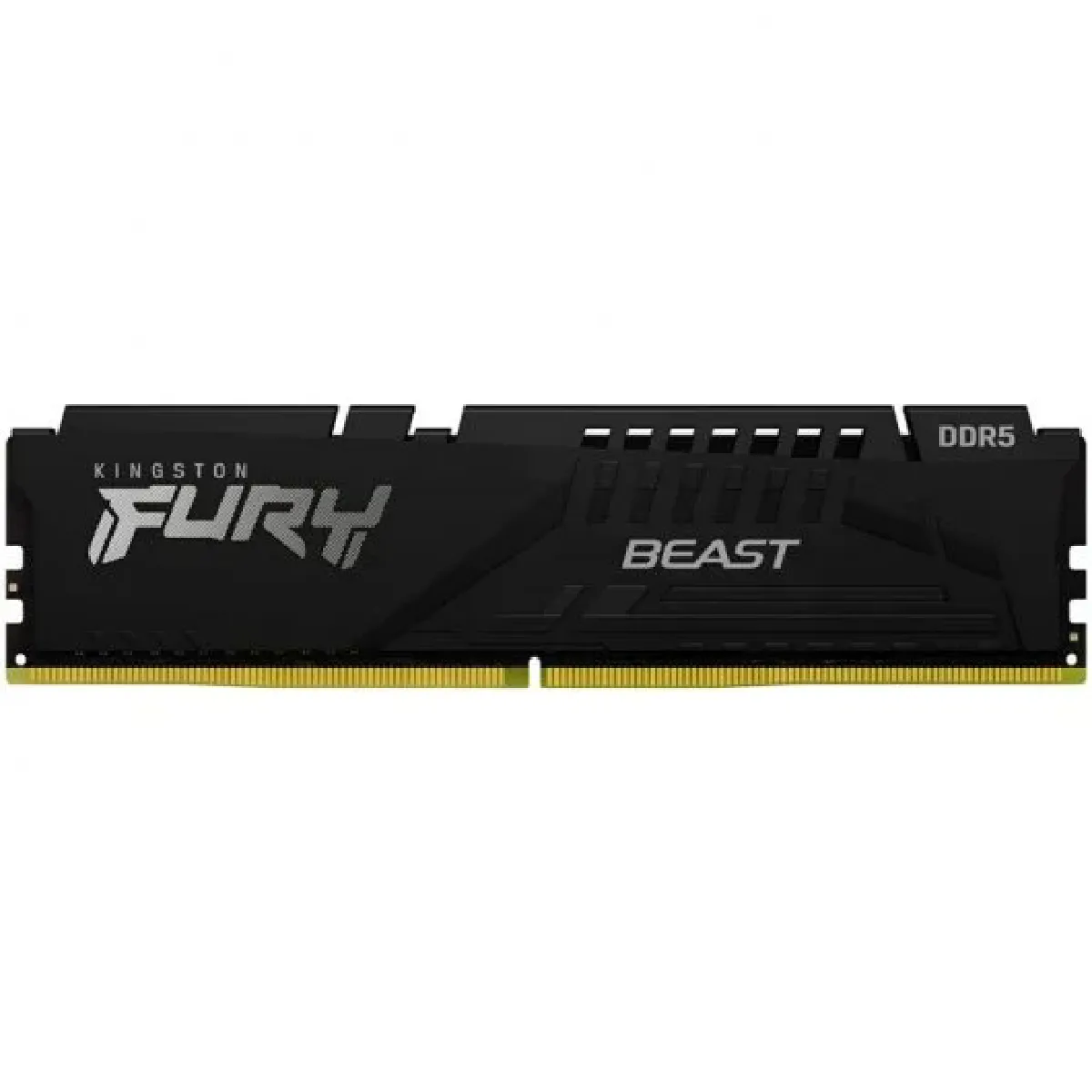 KINGSTON Fury Beast