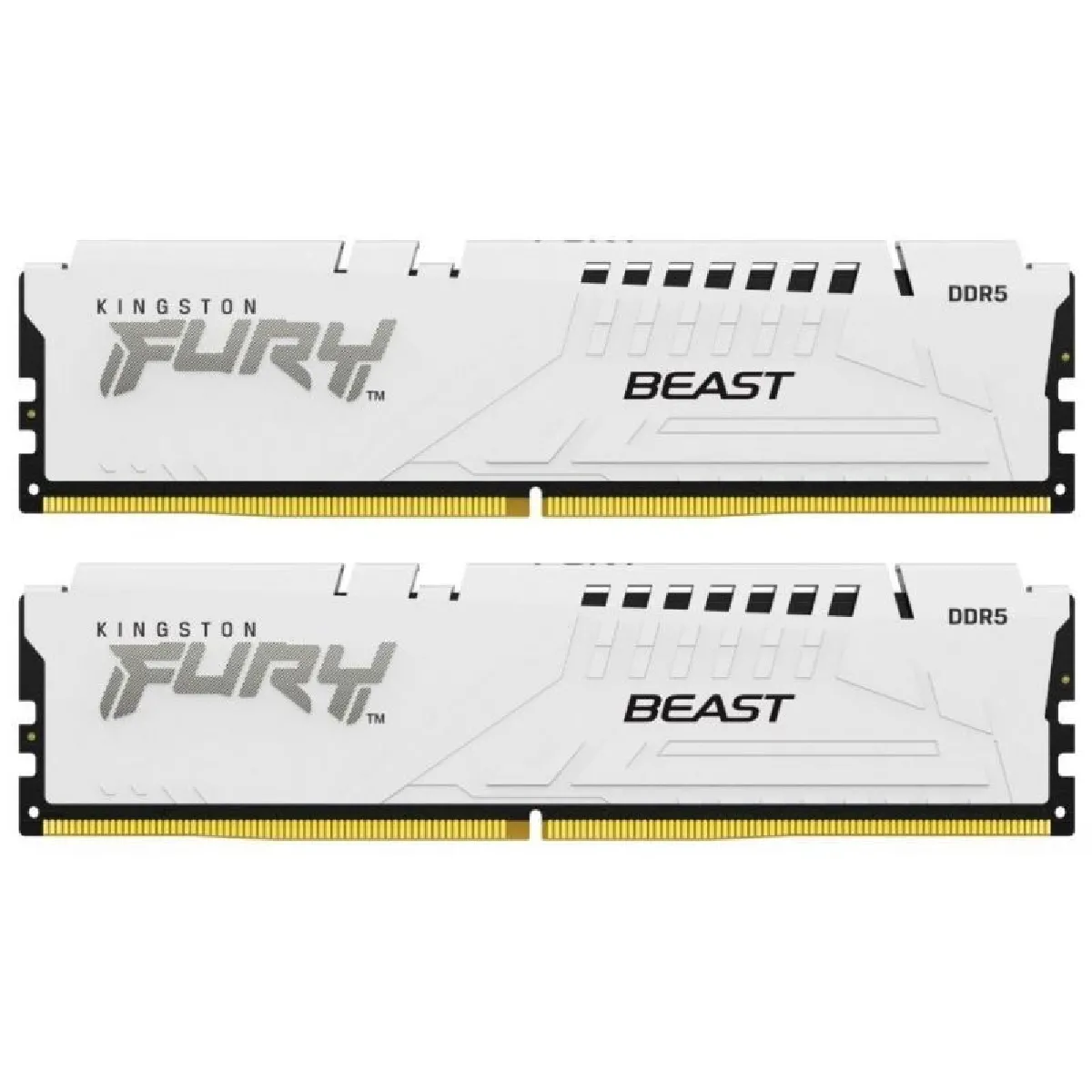 Kingston FURY Beast 64 Go