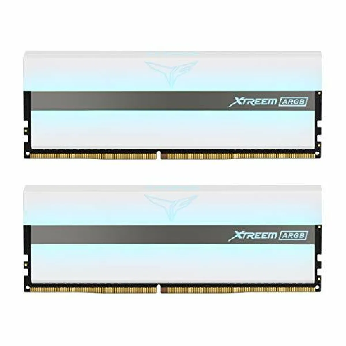 TEAM GROUP  TF13D416G3200HC16CDC01 16Go 3200MHz DDR4