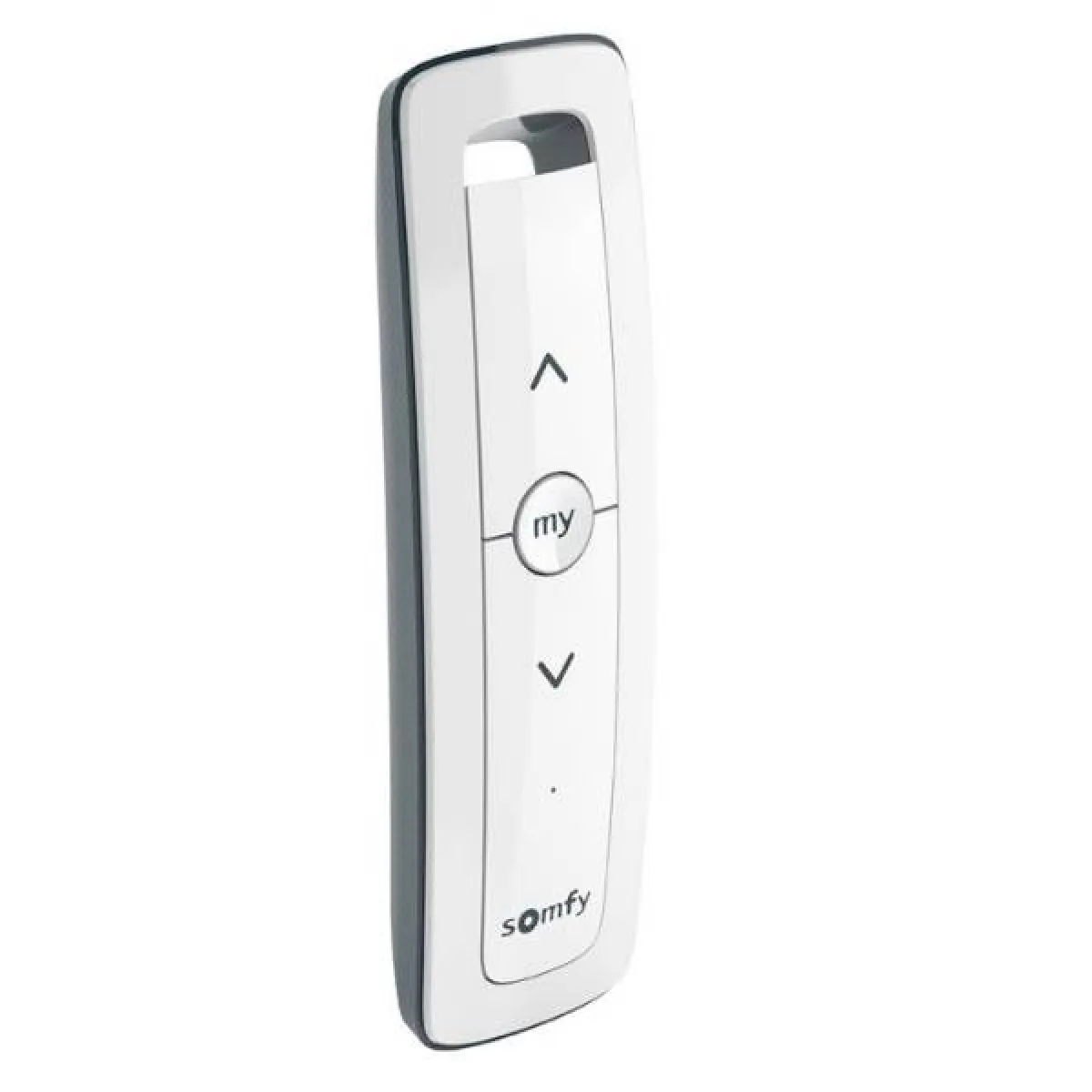 Somfy Télécommande 1 Canal
