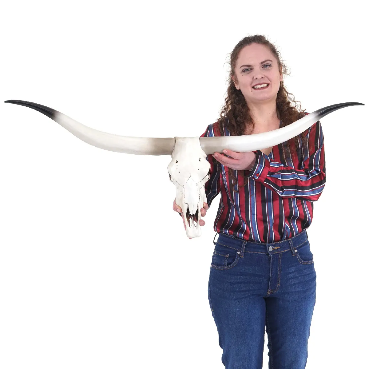 Mendler Crâne Vache Décoration - Taureau