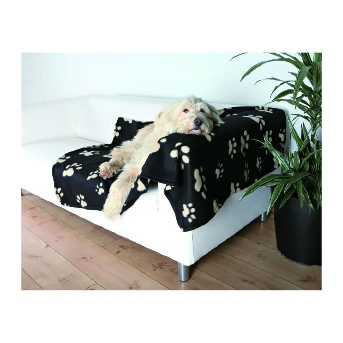 Trixie Couverture Barney - Noir/Beige Trixie Couverture Barney - Noir/Beige