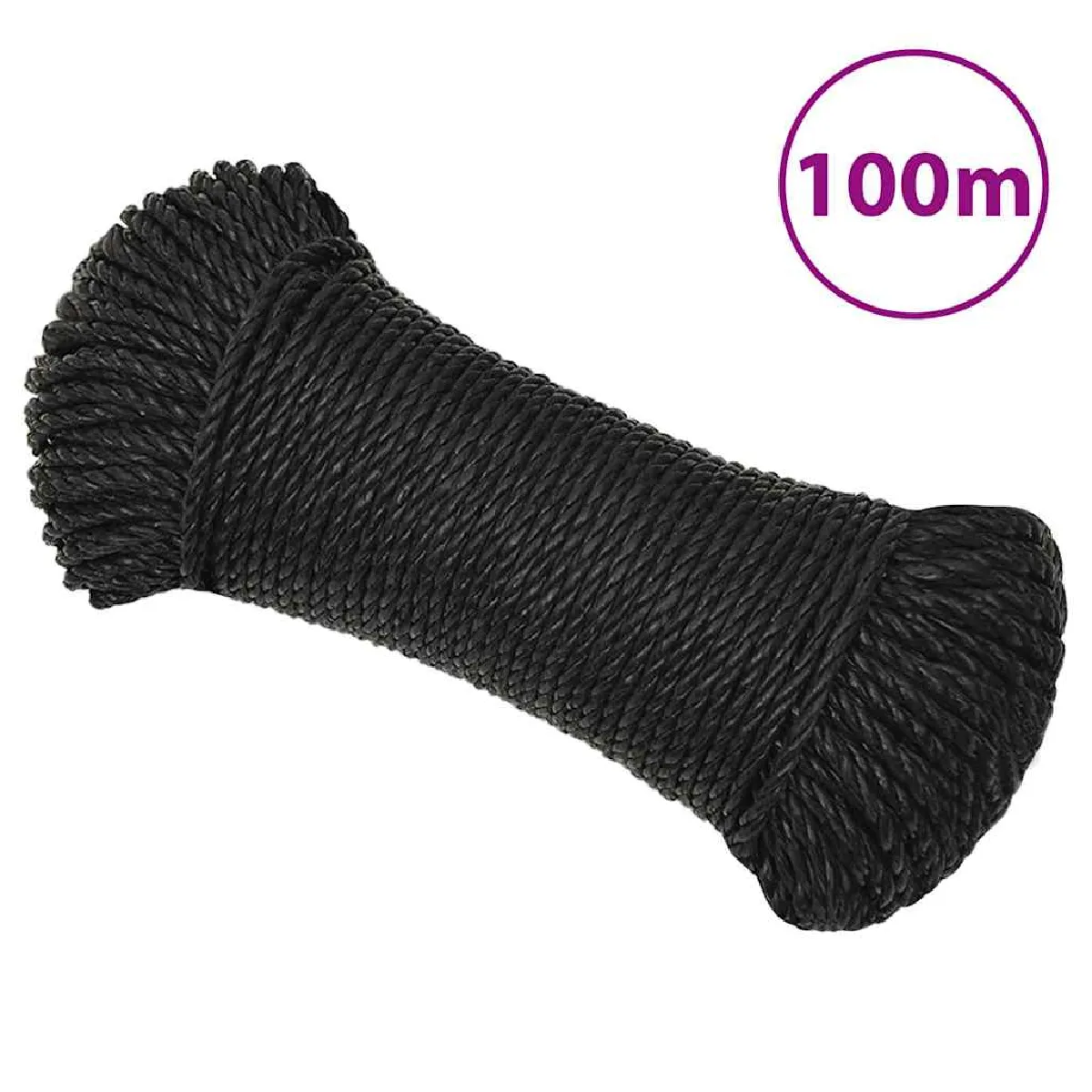 Vidaxl Noir Corde 6 Mm 100 M