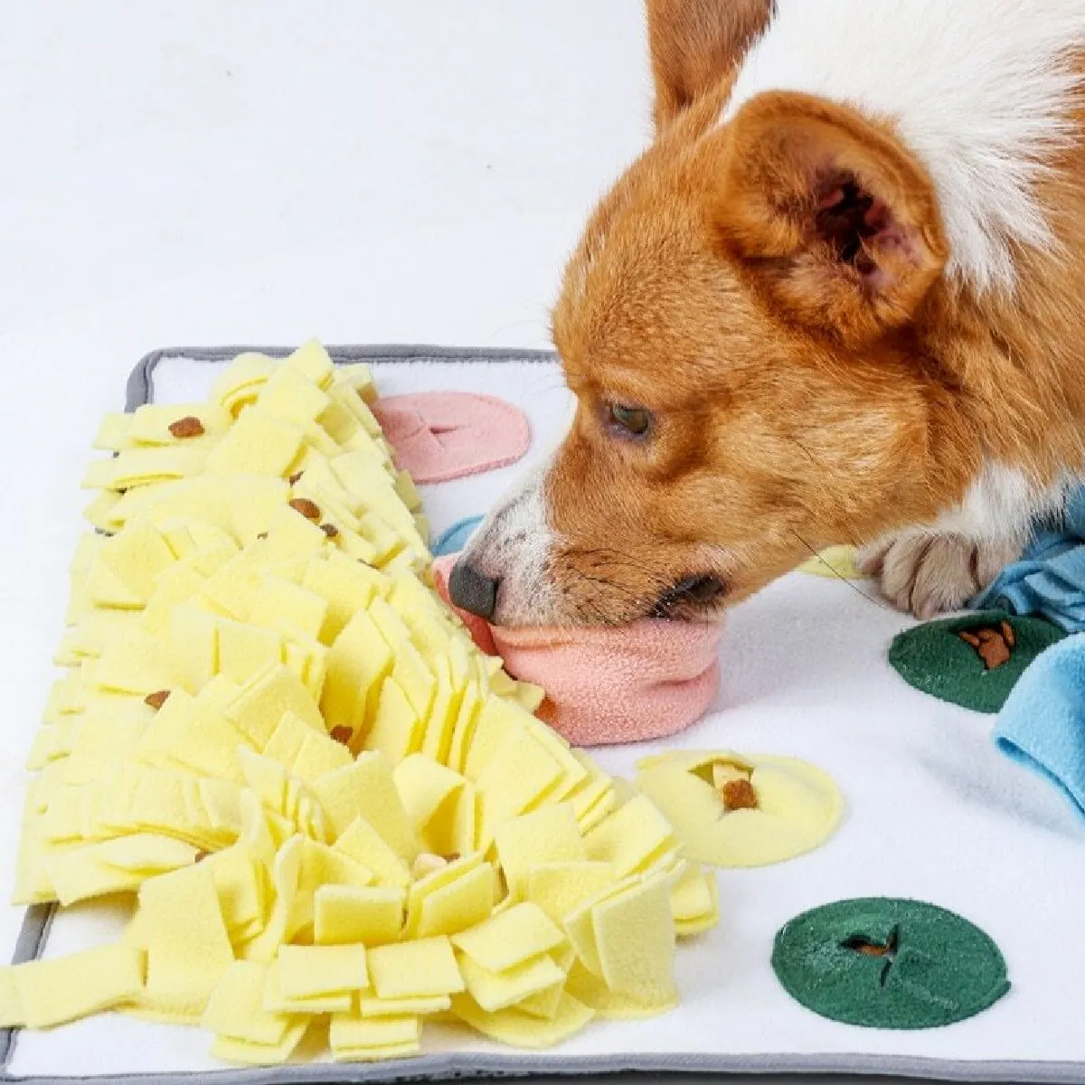 Comparer les prix de Nez de chien Nez de chat Couverture interactive pour animal de compagnie Fuite Nourriture Anti-asphyxie Tapis de nez Jouet de travail pour animal de compagnie Décélération Nourriture Tapis d'entraînement   Nourriture pour chien