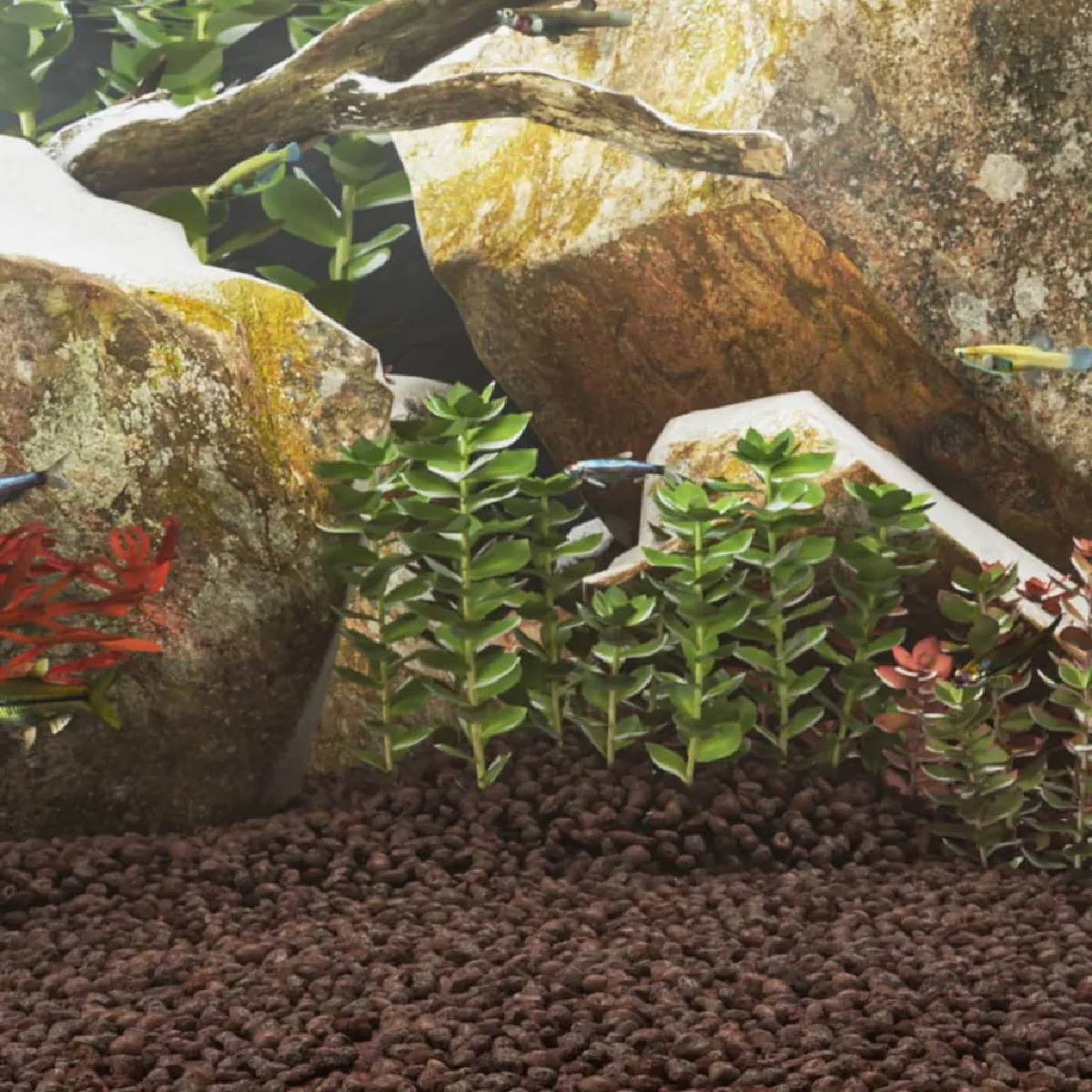 Roches Volcaniques vidaXL 10 kg – 100% Naturelles, Filtre Biologique - vue 5