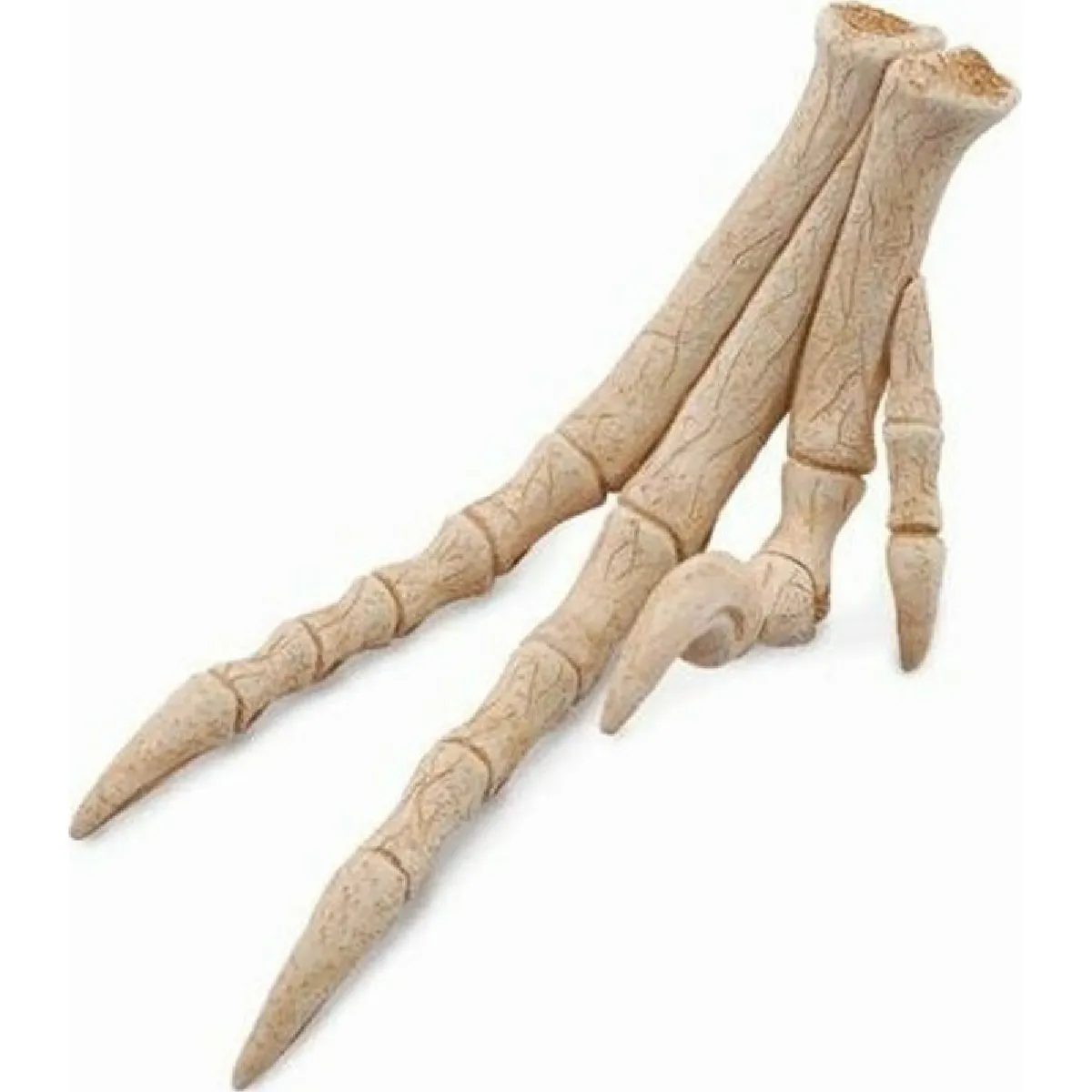 Comparer les prix de Collecta figurine pied de vélociraptor