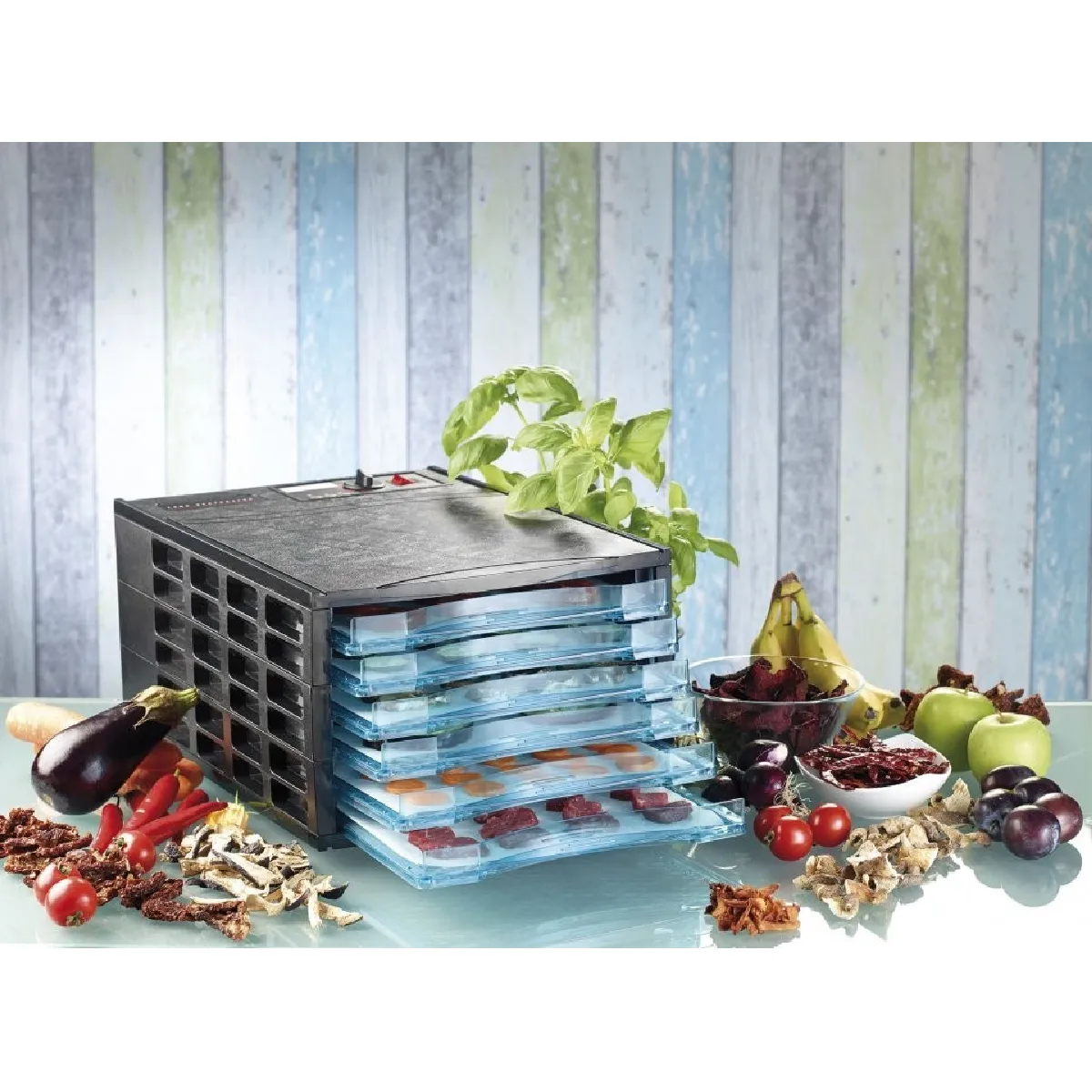 ROSENSTEIN & SOHNE Rosenstein_sohne d&eacute;shydrateur alimentaire digital DH-60