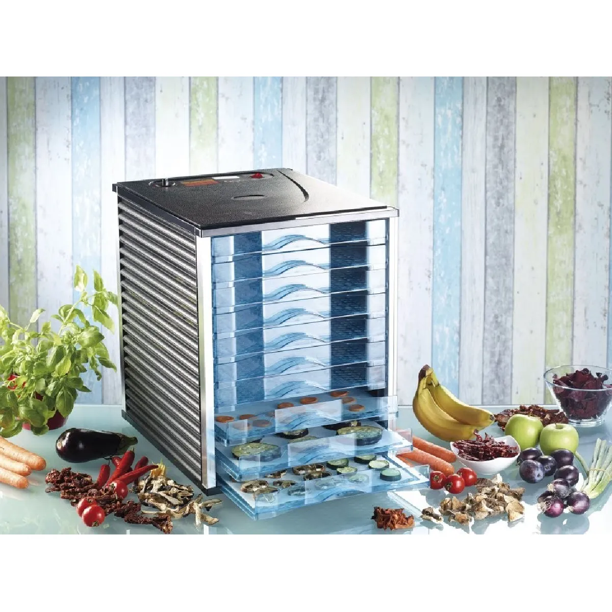 ROSENSTEIN & SOHNE  D&eacute;shydrateur alimentaire digital DH-80