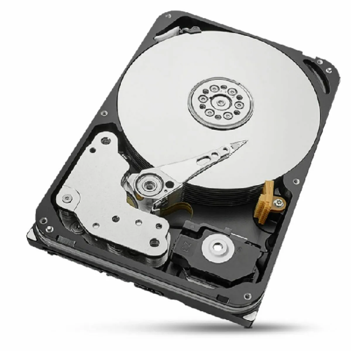 Seagate Technology Seagate Ironwolf Pro 20 To (St20000nt001)