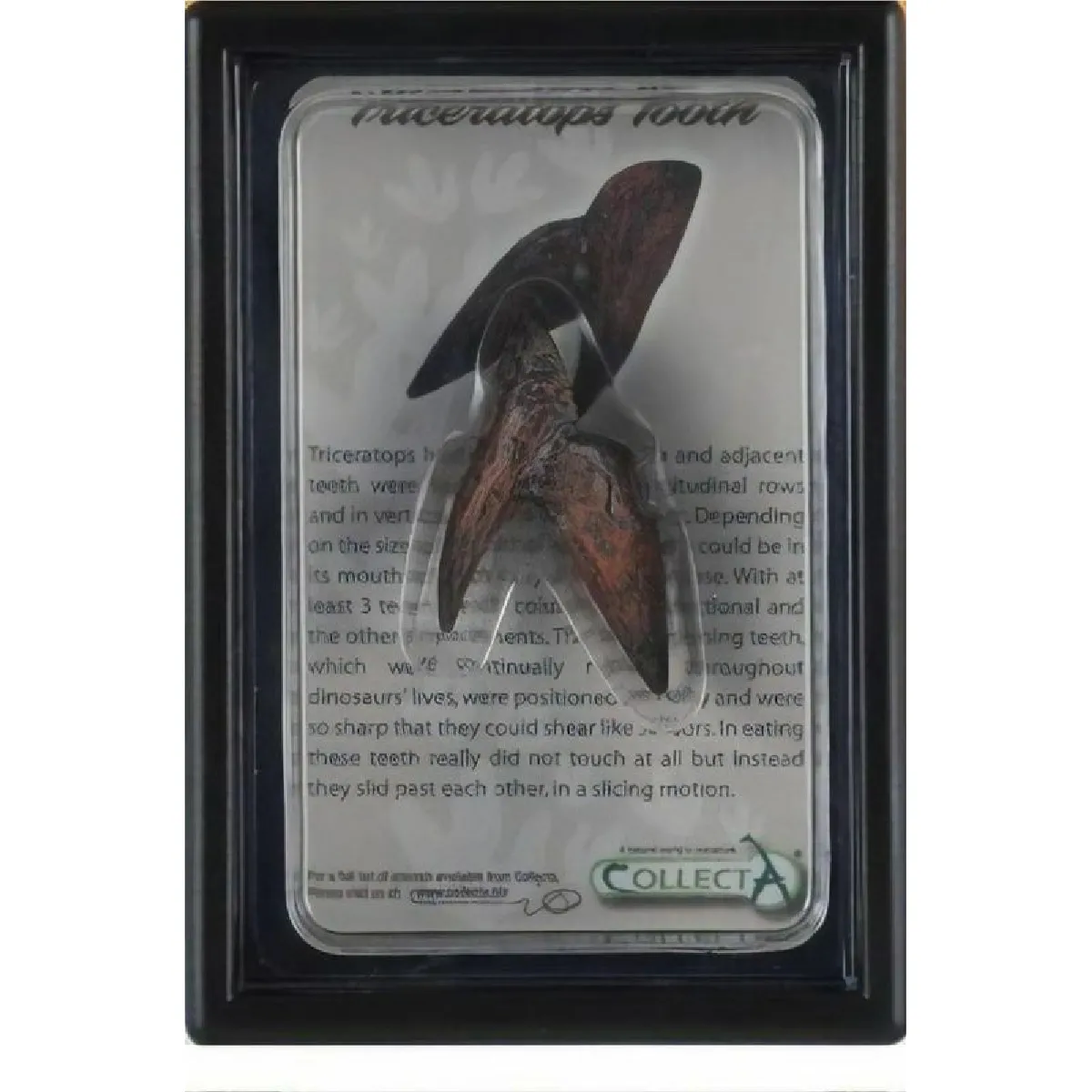 Collecta figurine dinosaure Tricératops