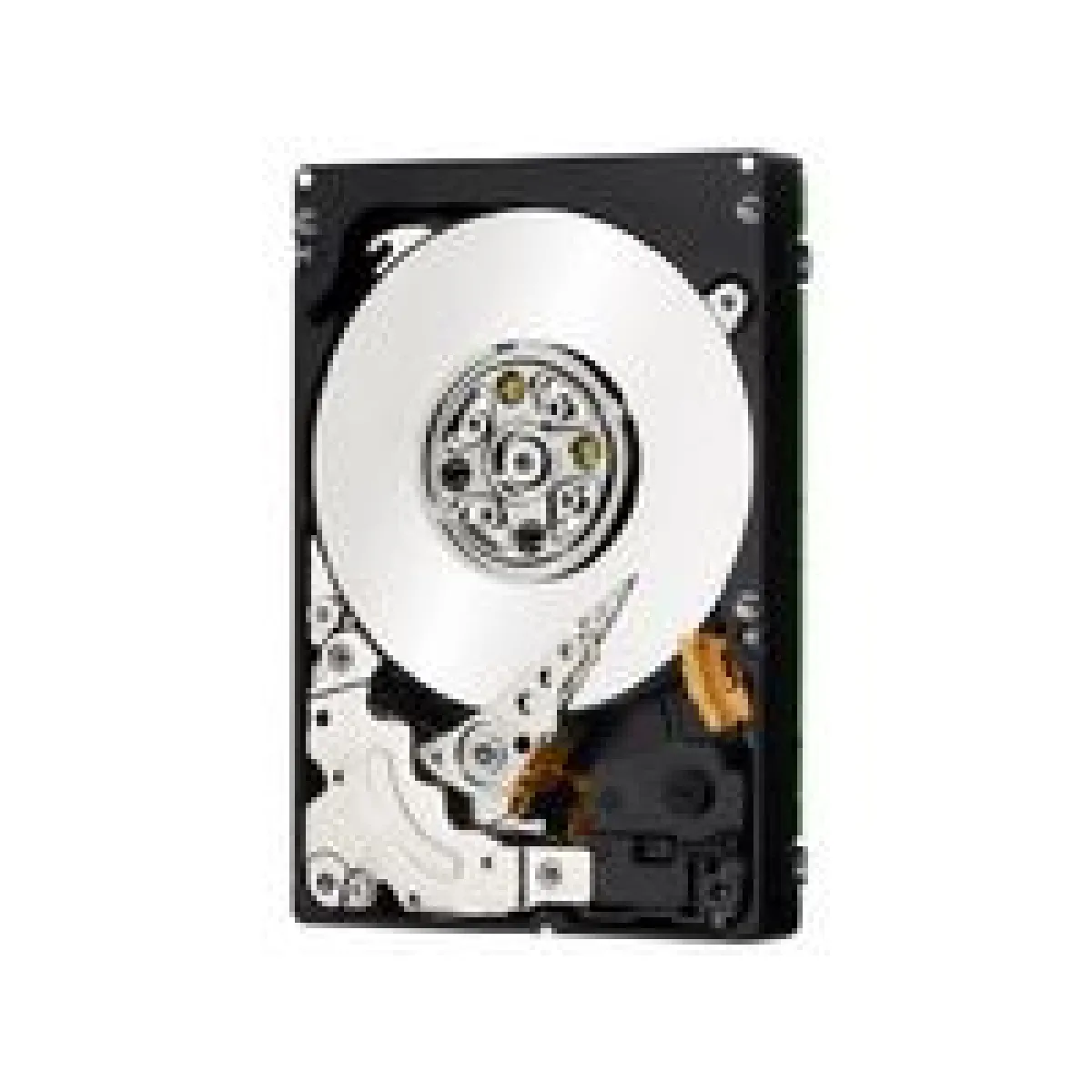 IBM G2HS HDD Express - 300GB