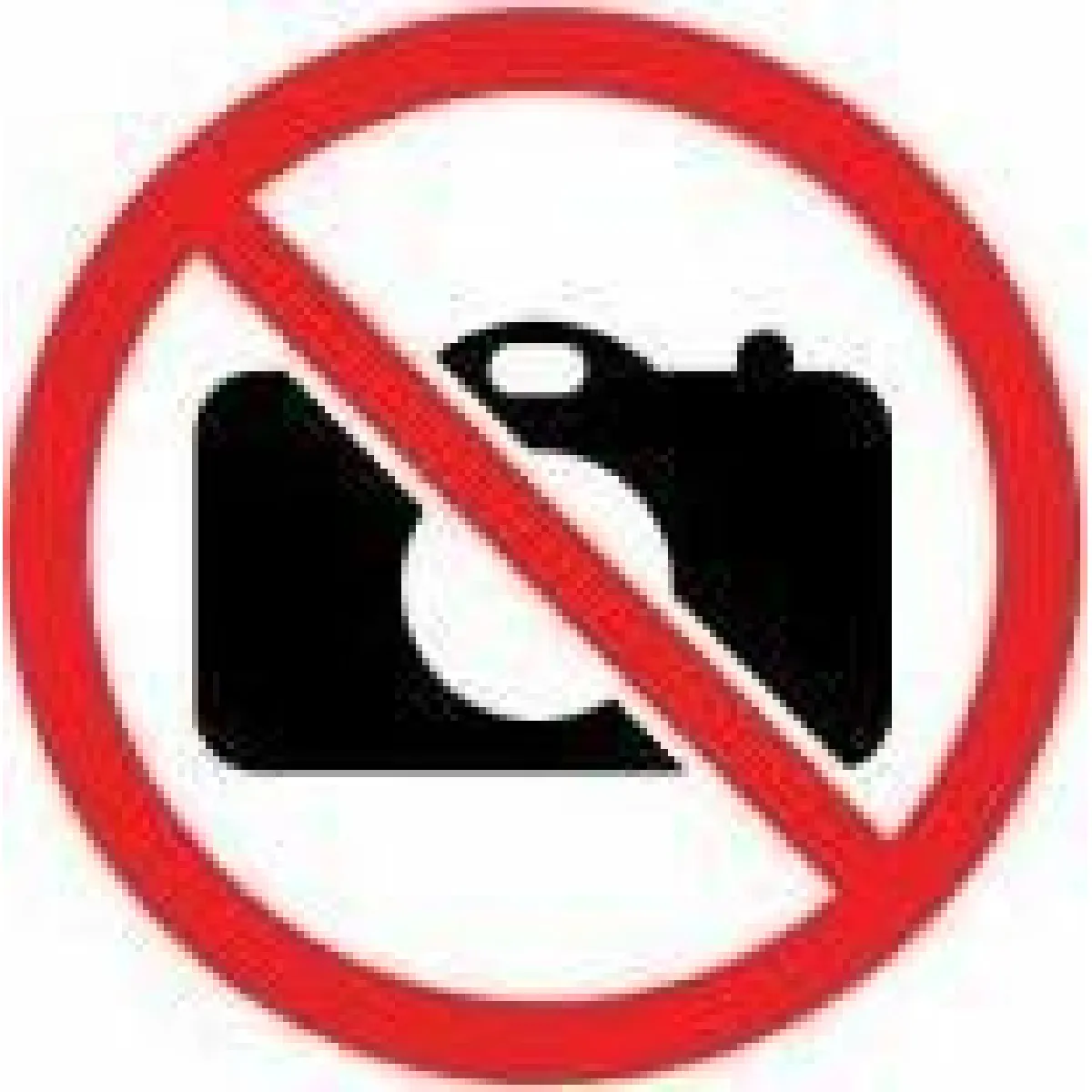 Comparer les prix de Collecta coffret figurines dinosaures Spinosaurus & Stegosaurus