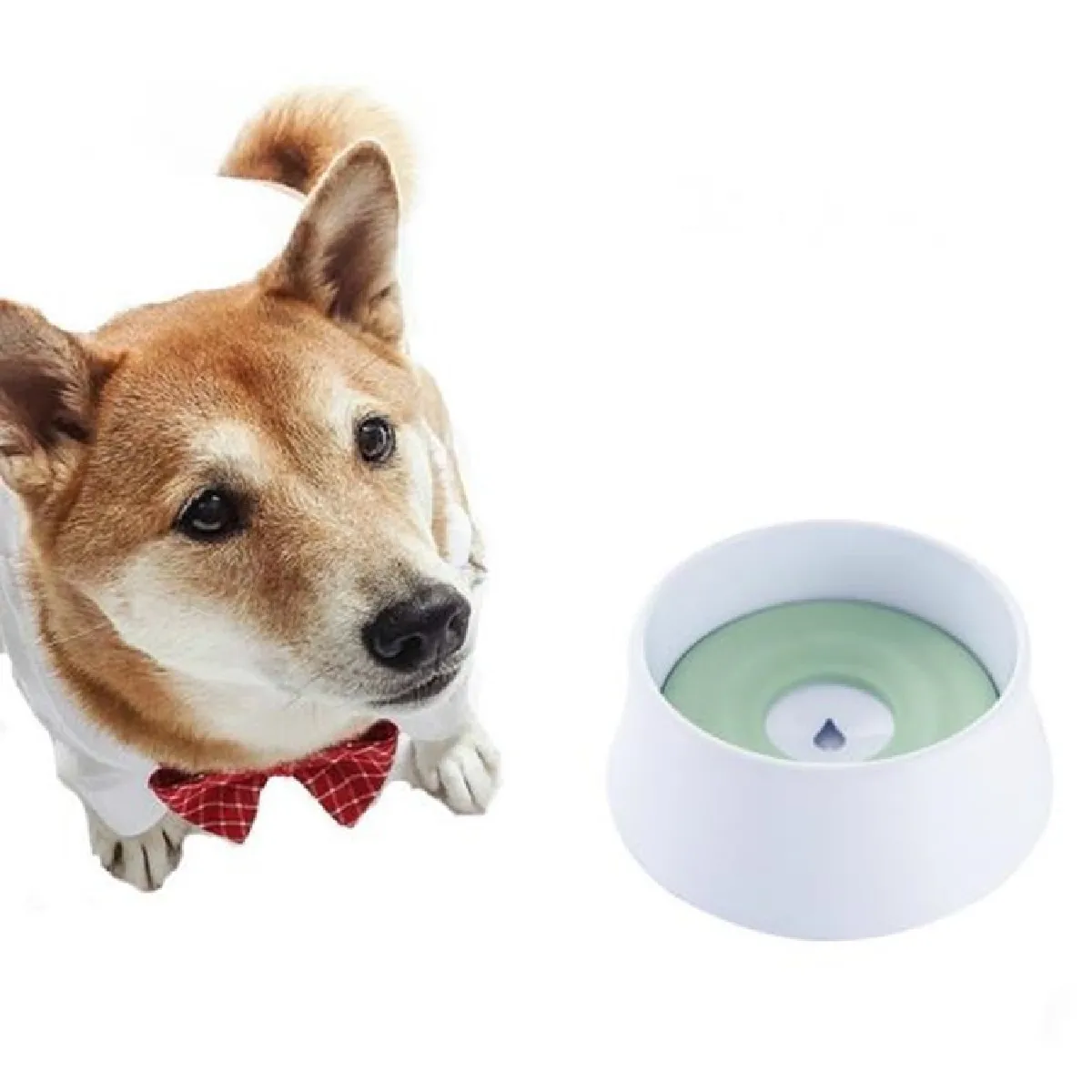 Comparer les prix de Chien Potable Water Pot De Pas Mouillé Bouche Splash Eau Grande Capacité De Flottabilité ?? Bol Vert