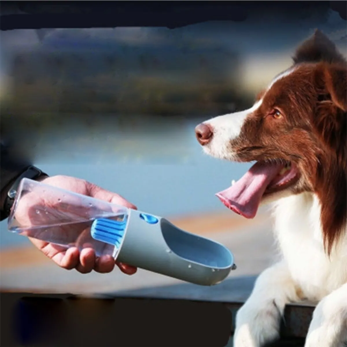 Meilleurs prix pour Distributeur d'Eau Animaux gris pour Animal de compagnie de kit d'animal familier voyagent fontaine d'eau, chien portatif extérieur / bouteille 400ml de