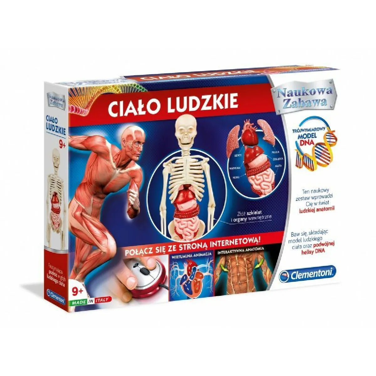 Clementoni The Human Body - vue 2
