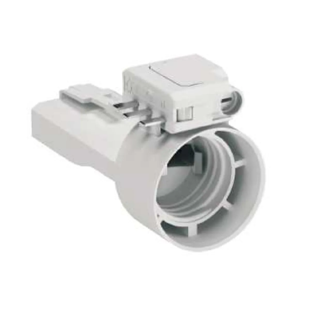 Schneider Electric Douille E27 Avec Fiche Dcl