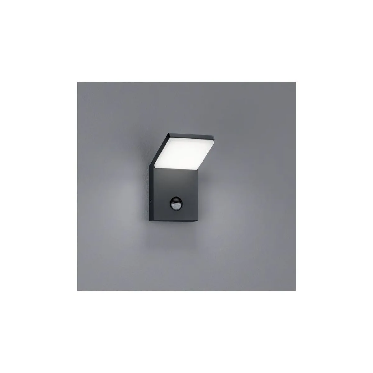 Lumière Lumiere Pearl - Anthracite