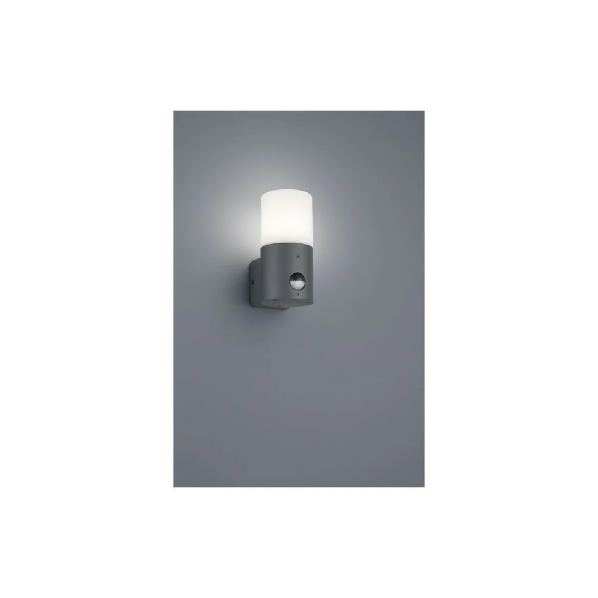 Trio Lighting Anthracite, Blanc Petite Applique D’extérieur Hossic Avec Détecteur - Image 2