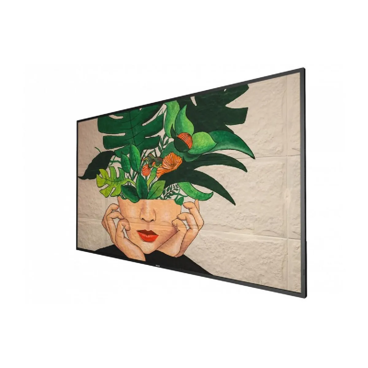 Philips 55BDL4511D00