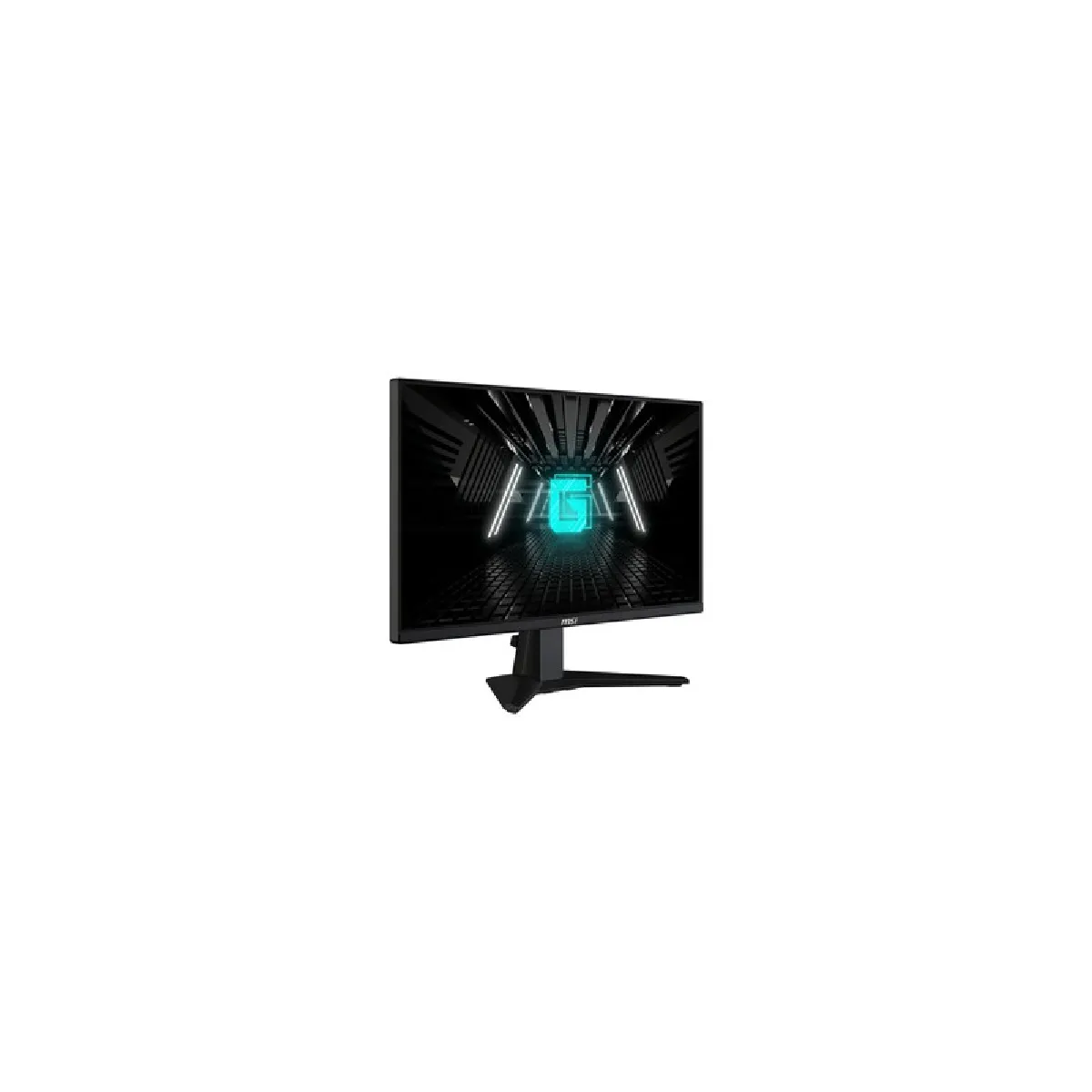 MSI  LCD