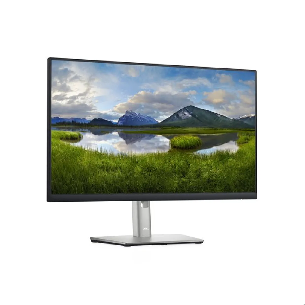 Dell P2422H - vue 2