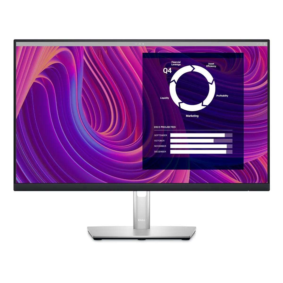 Dell 24 Monitor