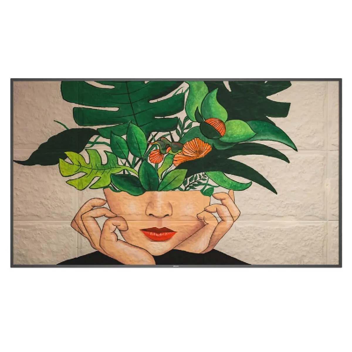 Philips 75BDL4511D00