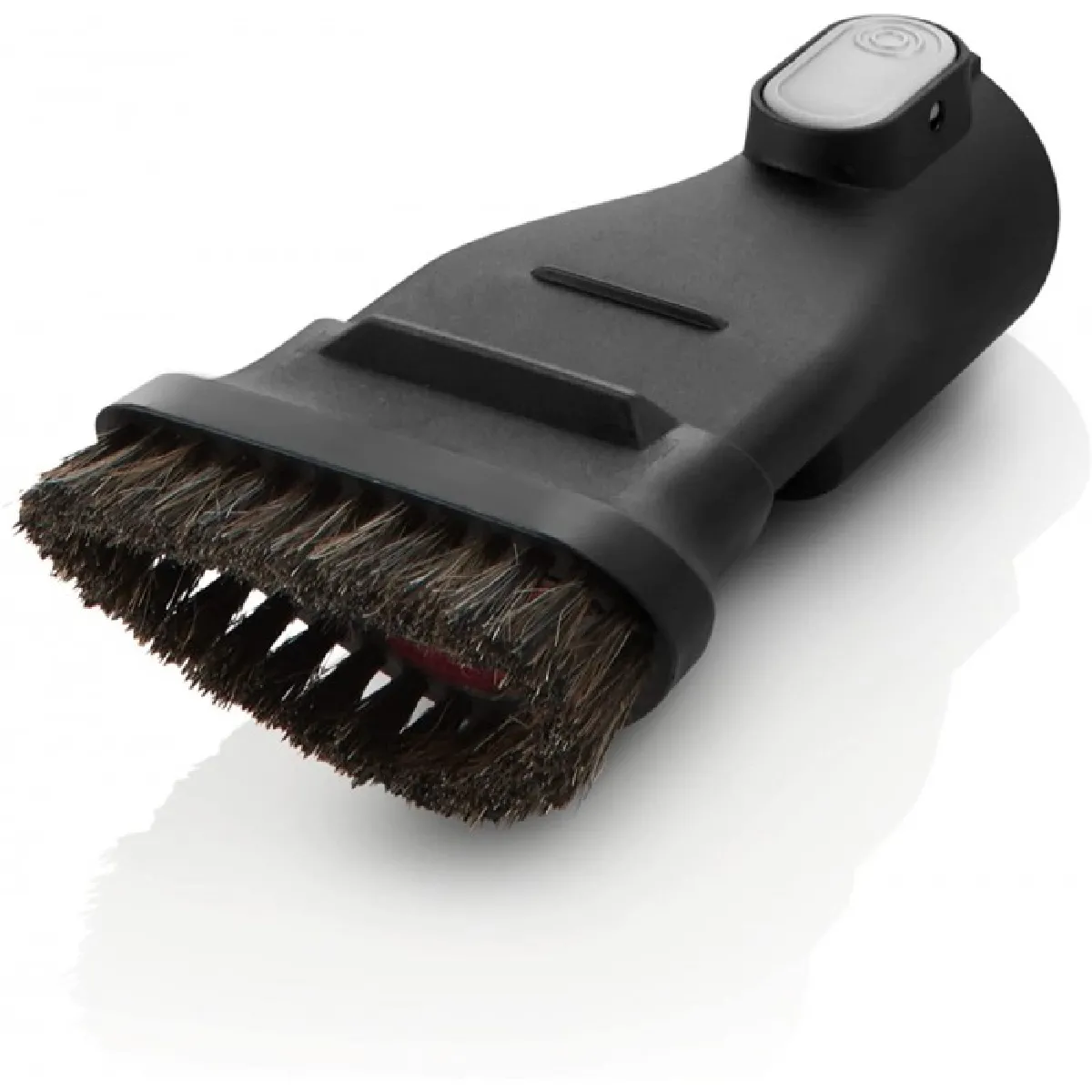 Bosch Brosse Plumeau 2 en 1