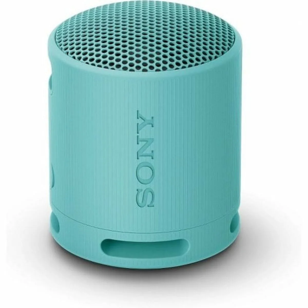 Sony SRS-XB100 Bleu