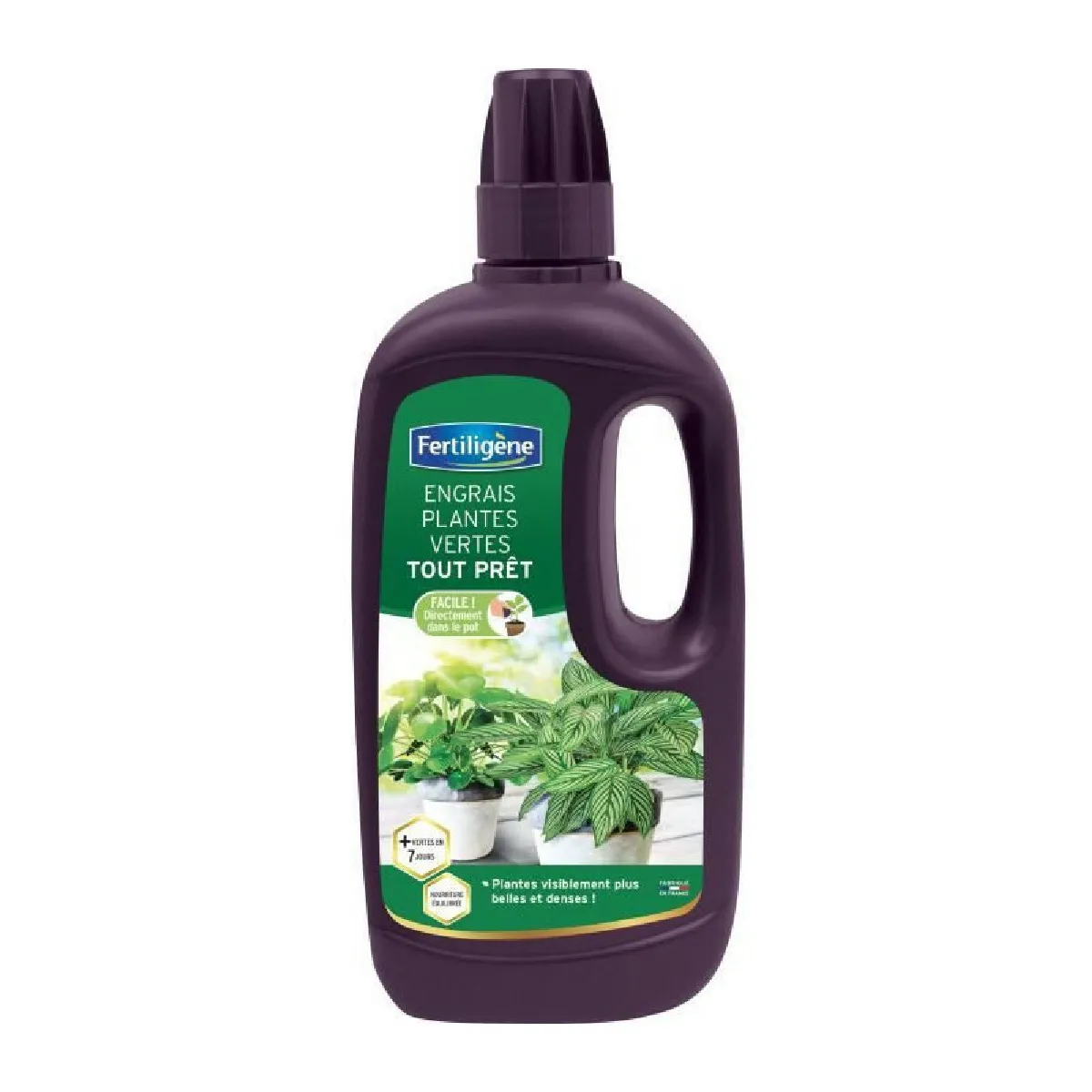 Fertiligene Engrais Plantes Vertes - 1L - Arbre fruitier - Rue du Commerce
