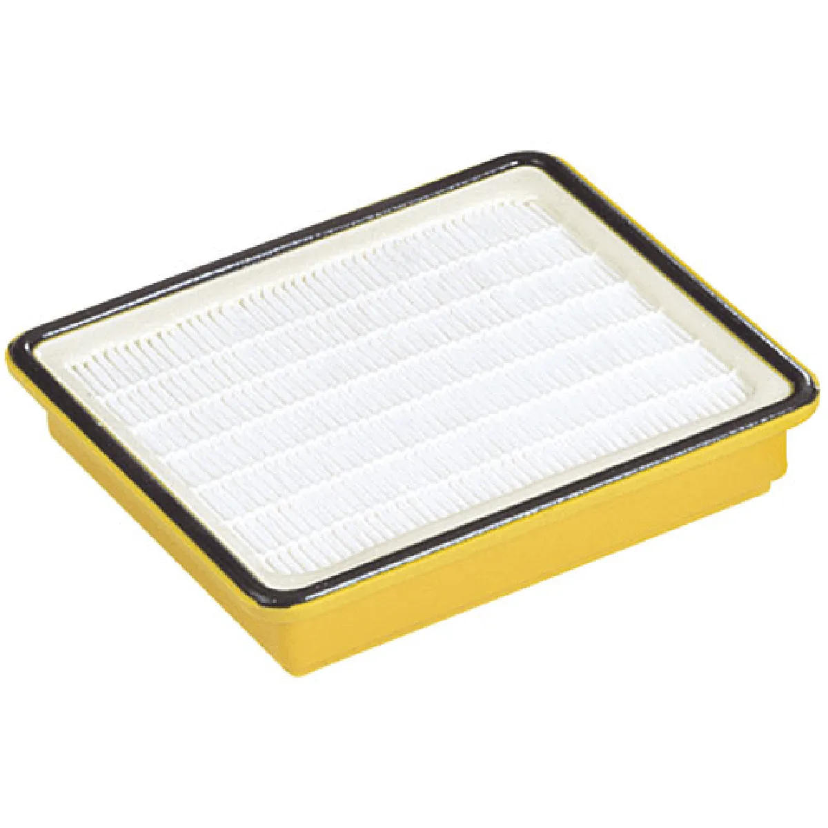 Filtre HEPA Hoover Telios