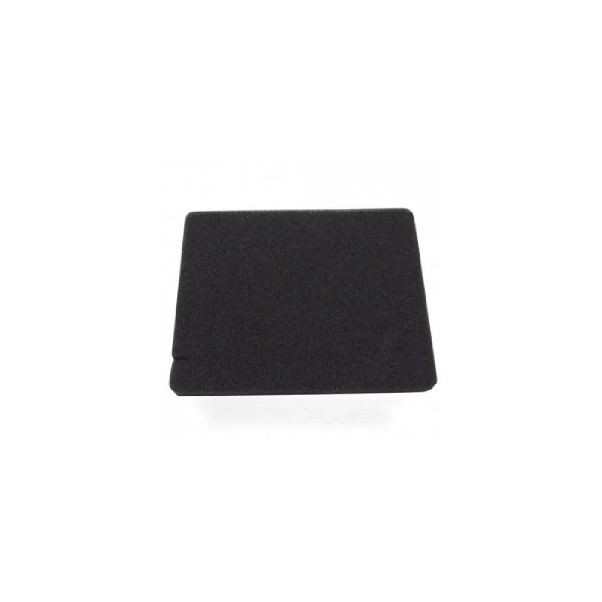 Filtre Éponge Electrolux 1180215012 – Sortie Air, Compatible Aspirateur Traîneau