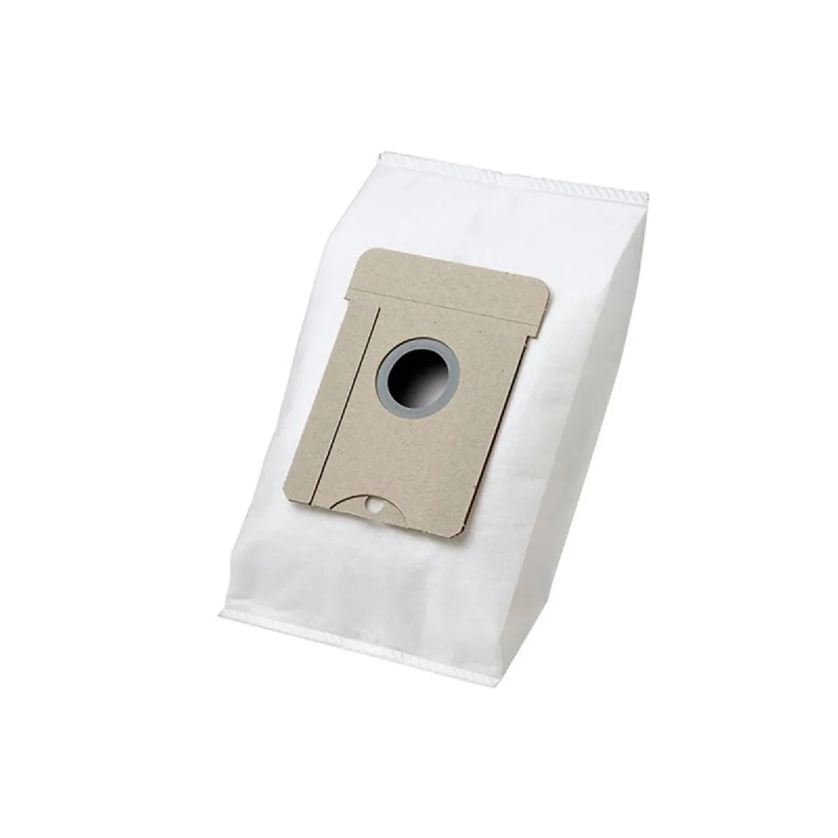 Sacs Aspirateur AEG GR 24 – Filtration Efficace, Boîte de 5 Sacs