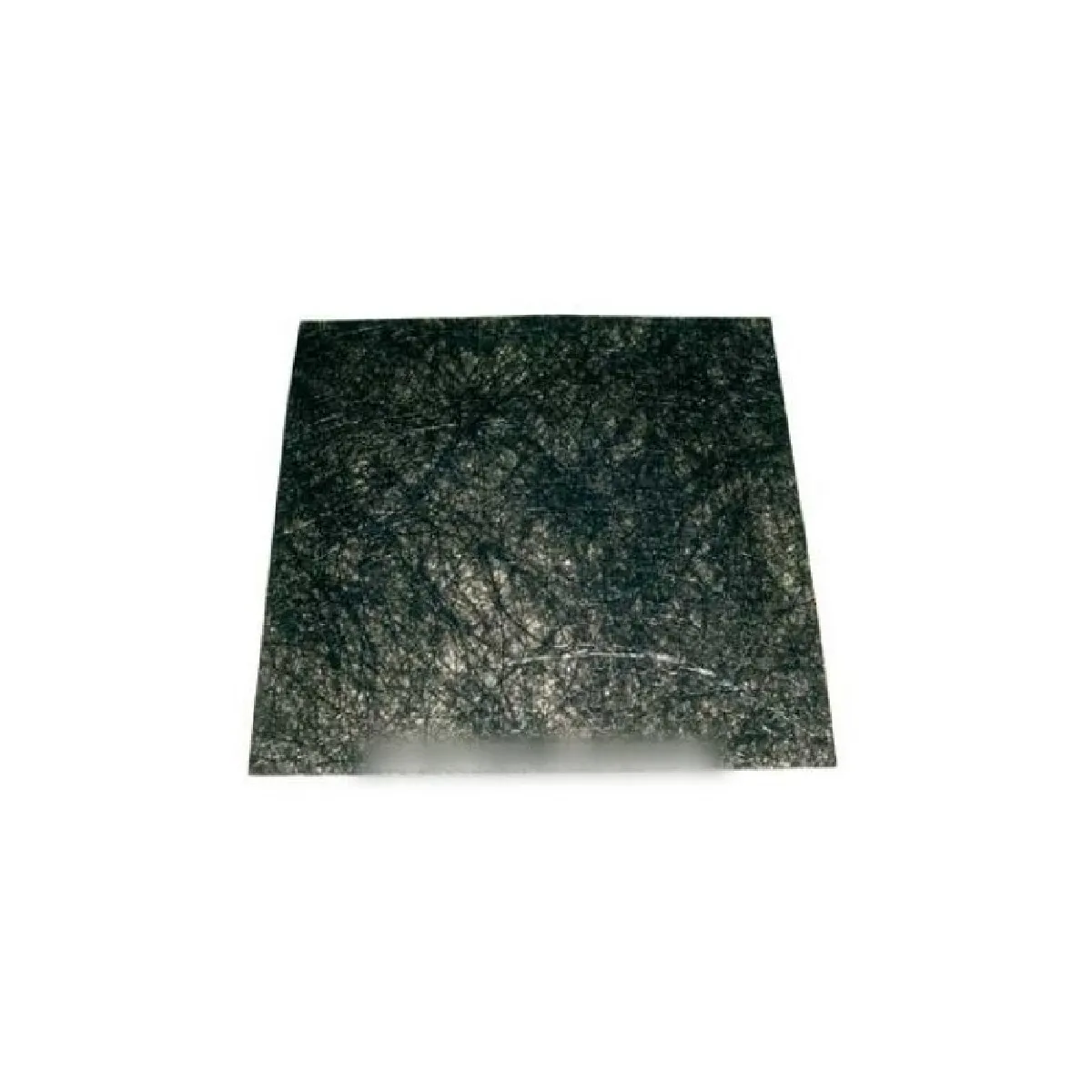 Bosch Filtre de protection moteur pour aspirateur traîneau