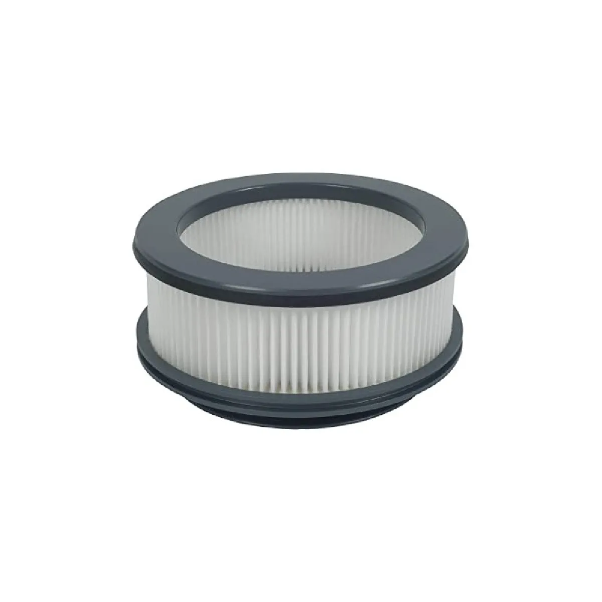 Filtre Plissé Rowenta ZR009008 – HEPA H10, Compatible X-Force Flex