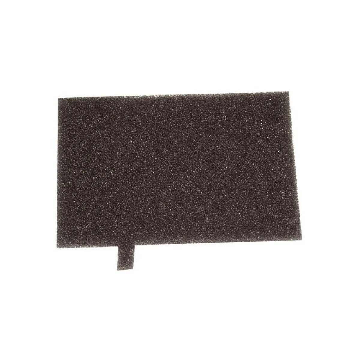 Filtre Moteur AEG 1096168008 – Protection Moteur Compatible Progress