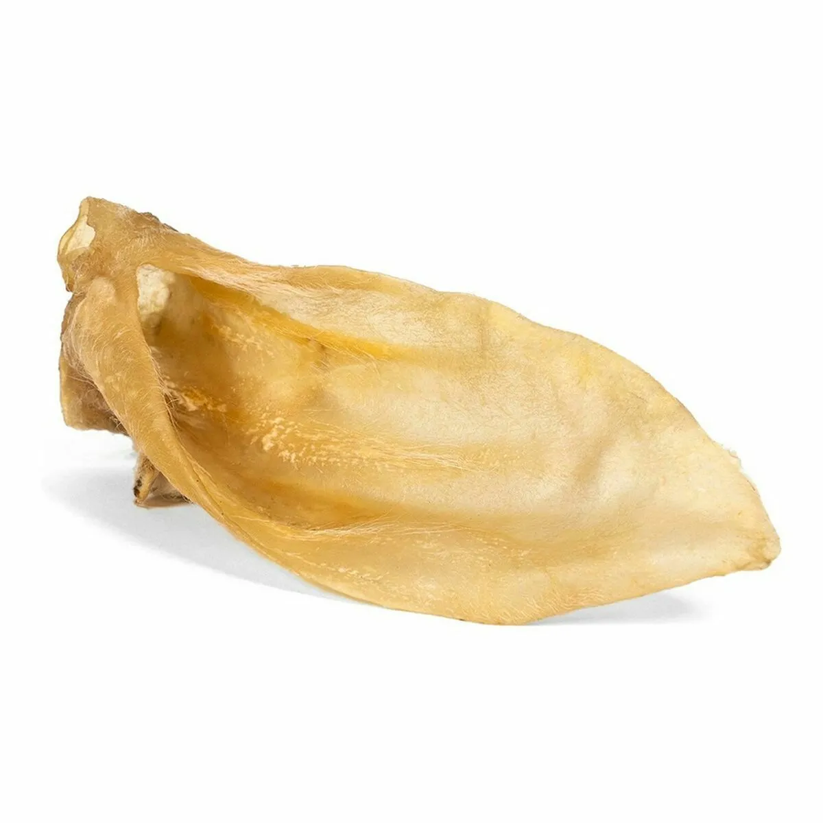 Comparer les prix de Gloria Oreilles Agneau