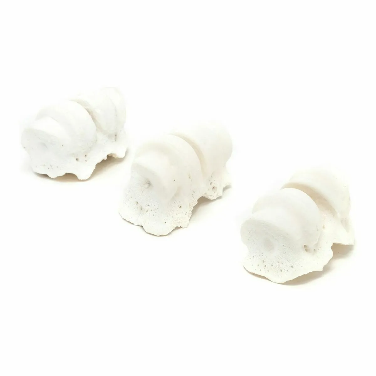 Meilleurs prix pour Gloria Articulations Calcium