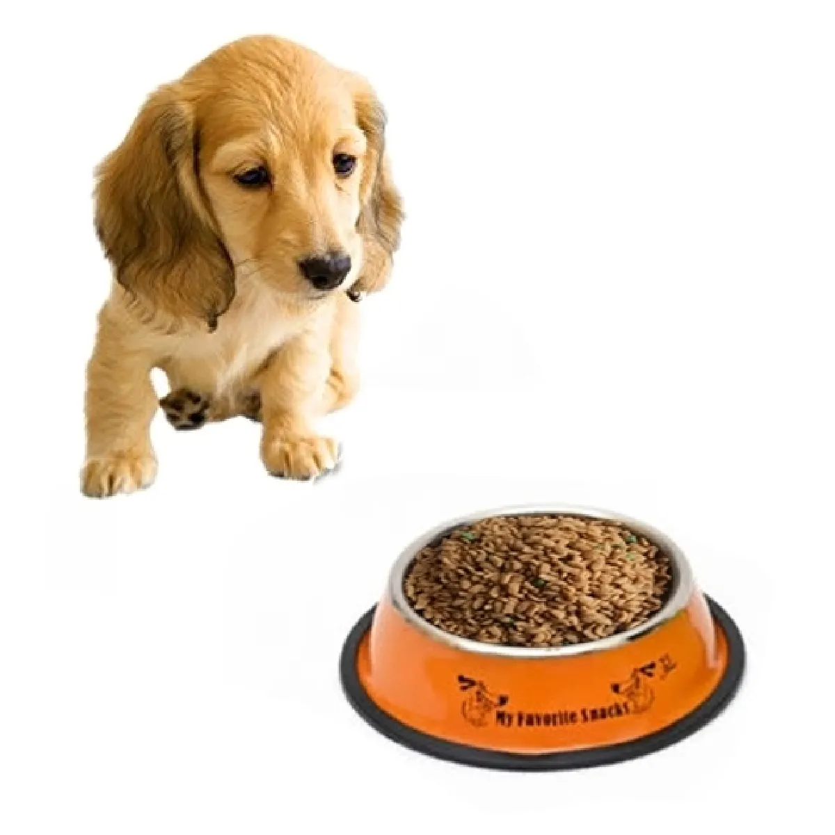 Meilleurs prix pour Gamelle Orange Bols en acier inoxydable, anti-dérapant imprimés animaux de peinture colorée, diamètre de la cuvette: 25,5 cm, diamètre du fond de la 32,5 cm