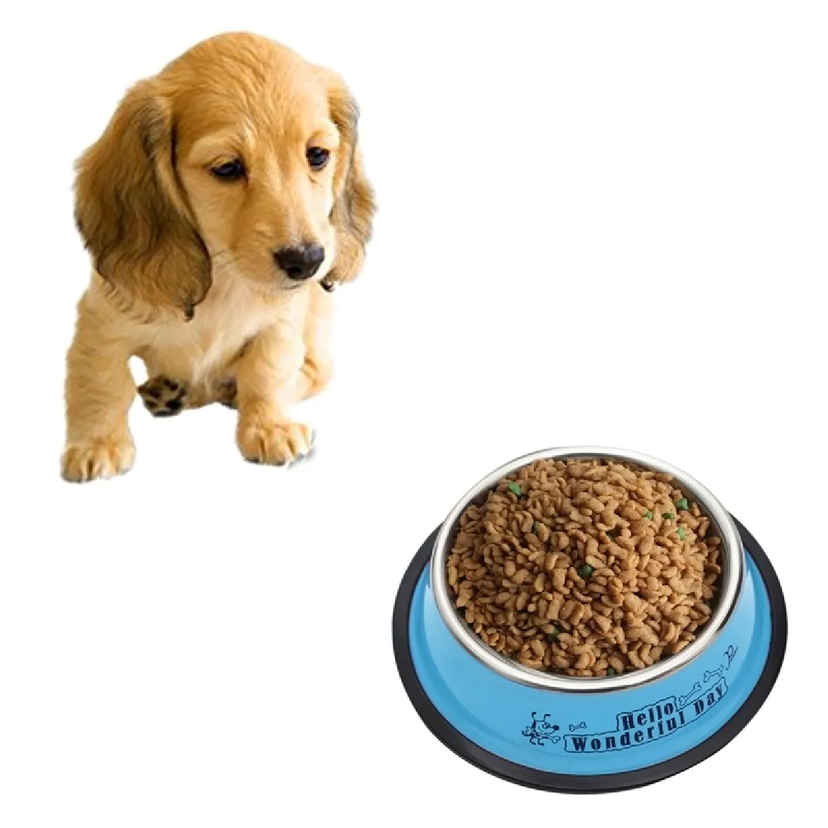 Comparer les prix de Gamelle bleu Bols en acier inoxydable, anti-dérapant imprimés animaux de peinture colorée, diamètre de la cuvette: 22,5 cm, diamètre inférieur de la 29,5 cm