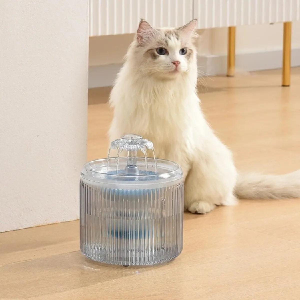 Comparer les prix de Fontaine pour chats d &'animaux de compagnie Alimentateur d &'eau pour chats entièrement automatique USB Lumière LED Smart Dog Cat Alimentateur d &'eau pour animaux de compagnie   Alimentation pour chiens(Transparent)