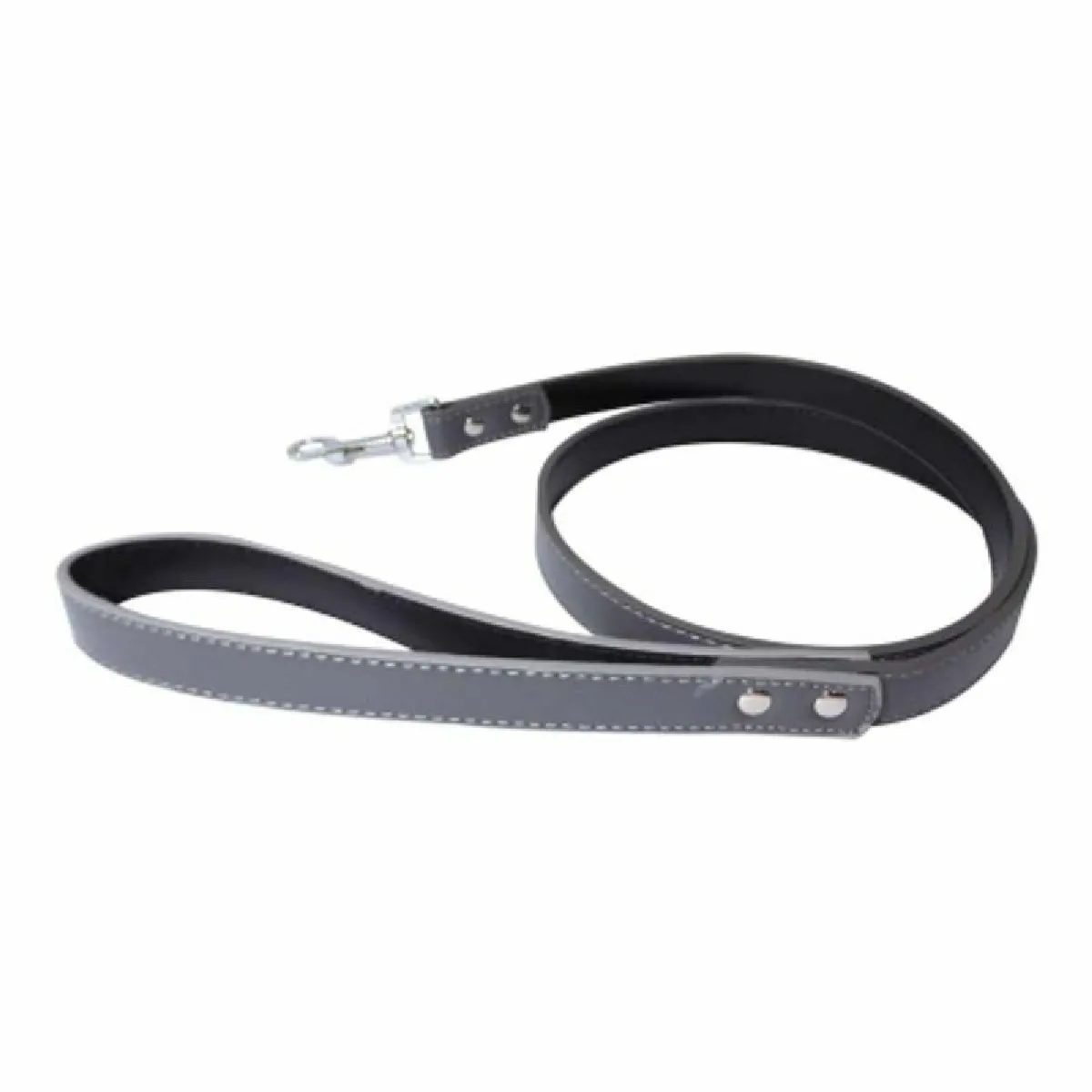 Paris prix Laisse pour chien en polyuréthane - 120 cm - Gris Paris prix Laisse pour chien en polyuréthane - 120 cm - Gris